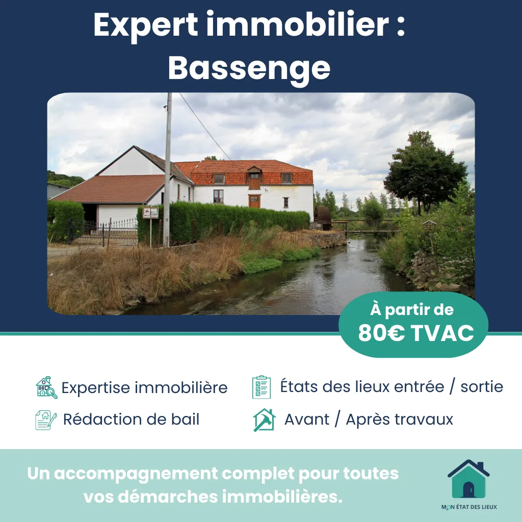 Expert immobilier à Bassenge – Accompagnement complet